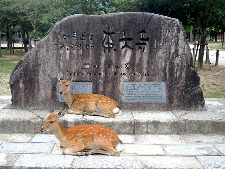nara